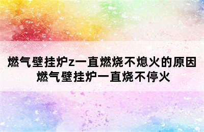 燃气壁挂炉z一直燃烧不熄火的原因 燃气壁挂炉一直烧不停火